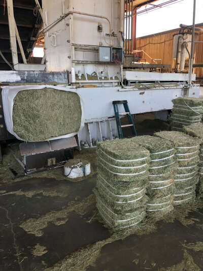 WhatsApp Image 2024-01-26 at 15.02.29 (1)